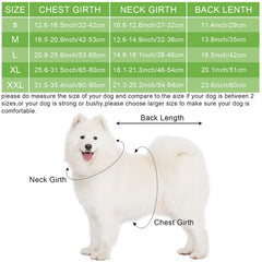 Weewooday bandana pour chien, accessoire assorti, style chic.