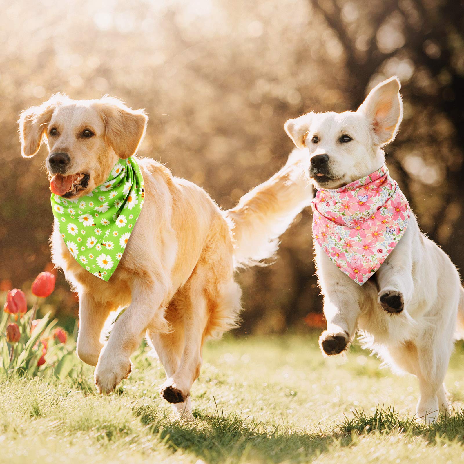 Bandana Weewooday chien fleurs vert pastel, léger et coloré pour sorties.