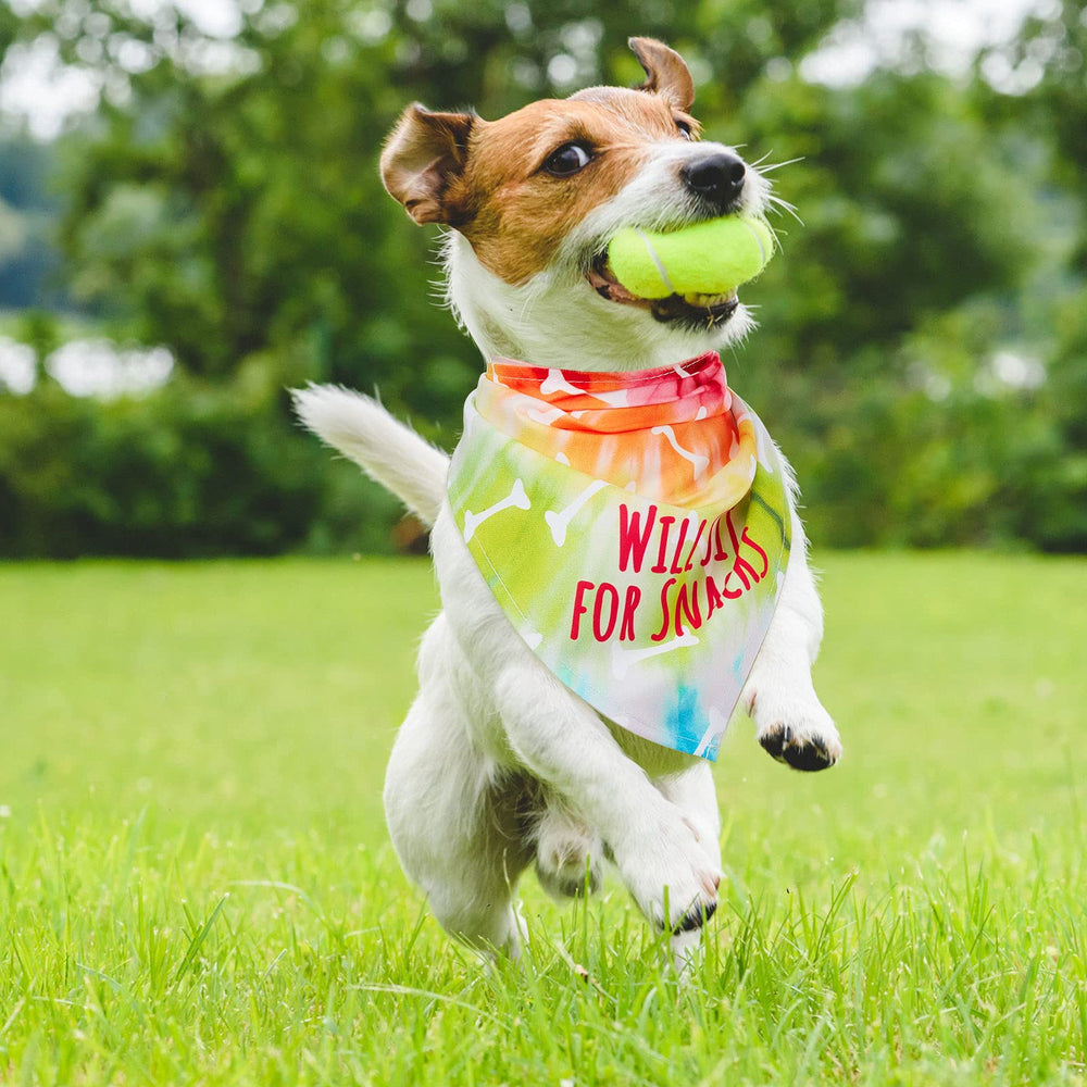 Weewooday bandana triangle multicolore chien, résistant et lavable pour un usage répété.