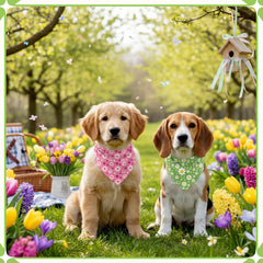 Bandana Weewooday design classique, accessoire polyvalent pour costumes et grooming.