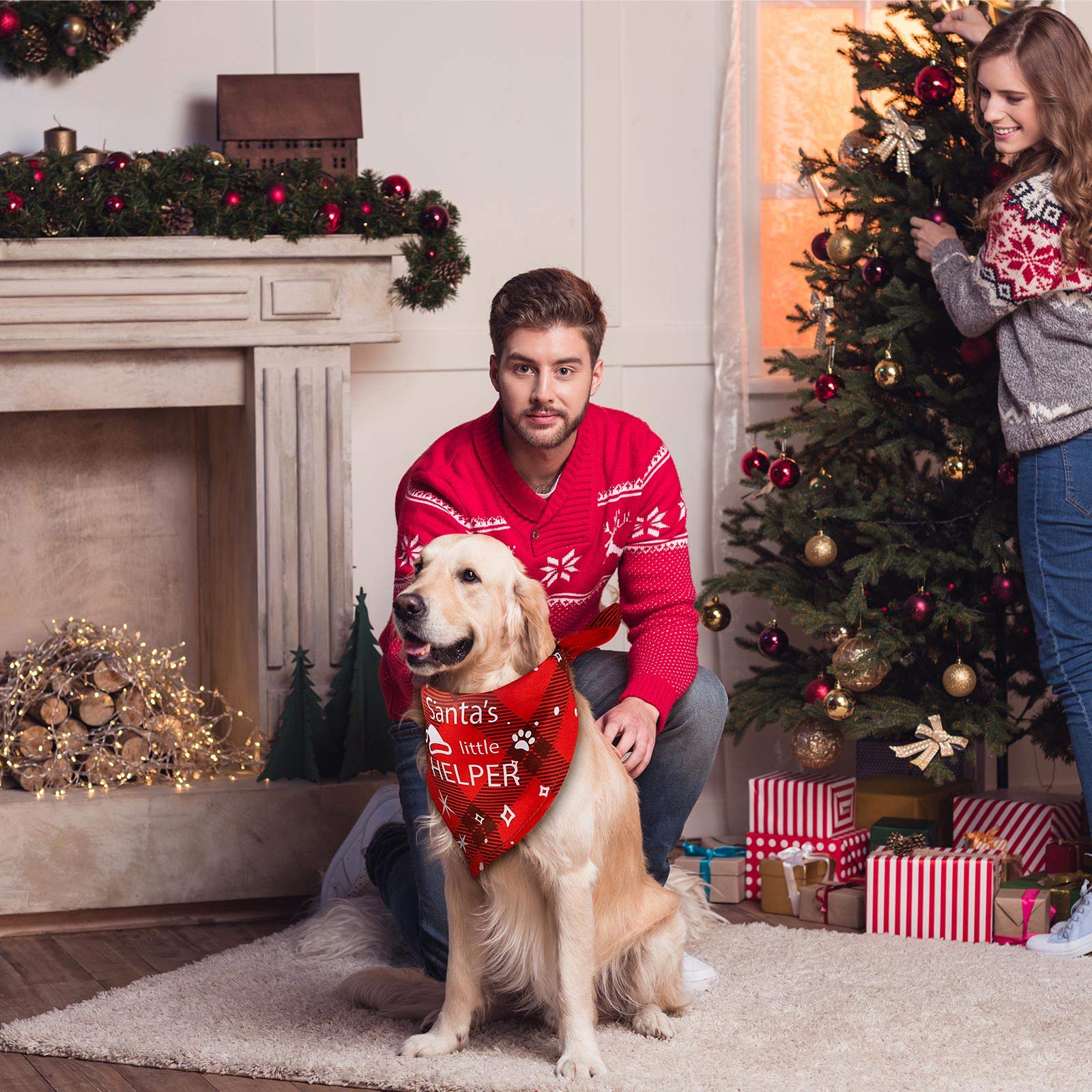 Bandana Noël Weewooday pour chien, motif hivernal élégant et lavable.