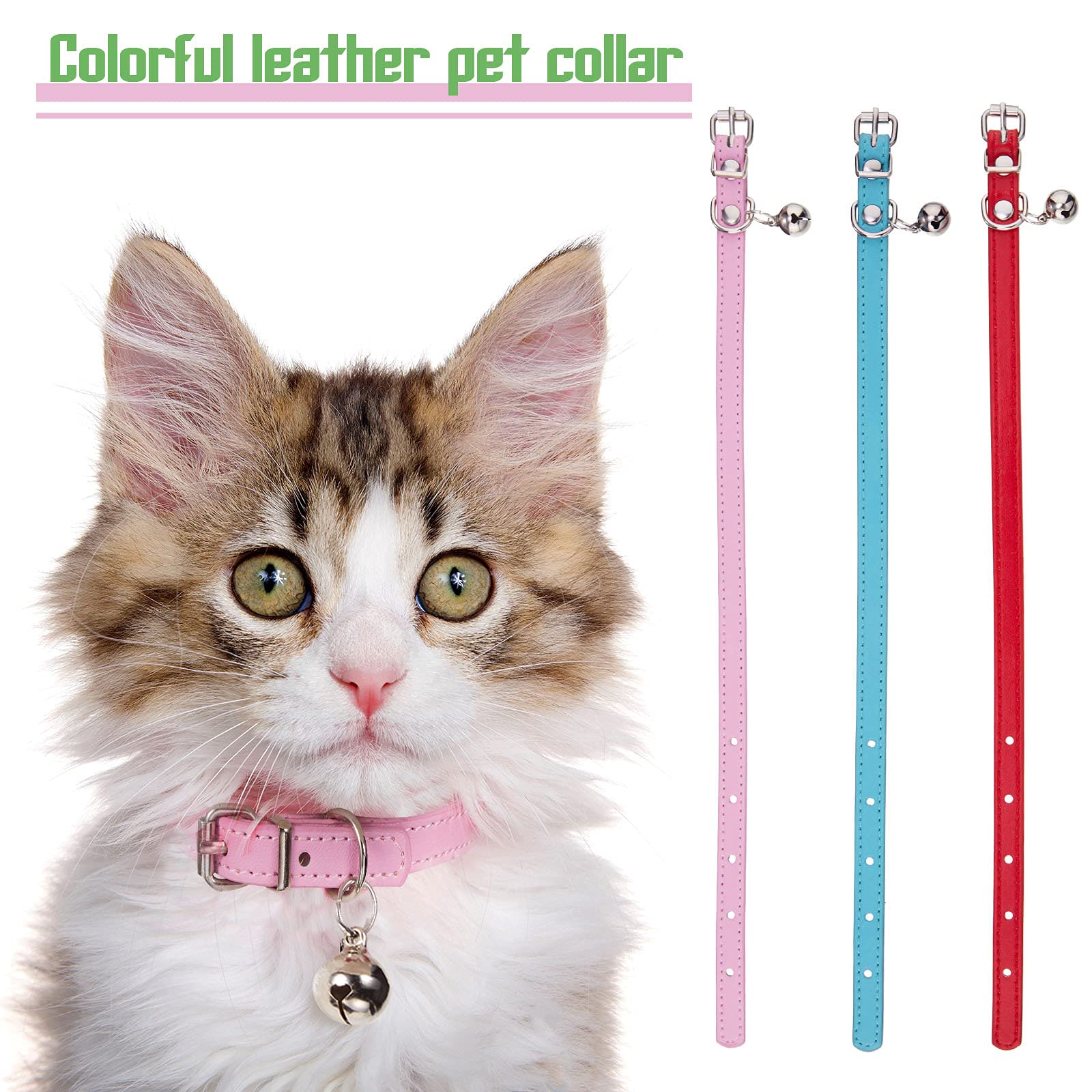 Collier Weewooday accessoire de mode pour chat, couleur vive et chic.