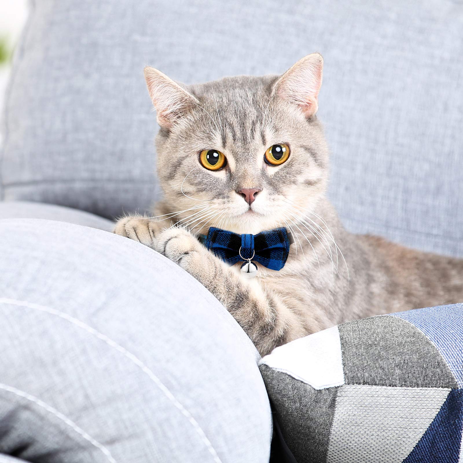 Collier Weewooday boucle à rupture plaid bleu, pratique au quotidien pour chats curieux.