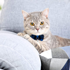 Collier Weewooday boucle à rupture plaid bleu, pratique au quotidien pour chats curieux.