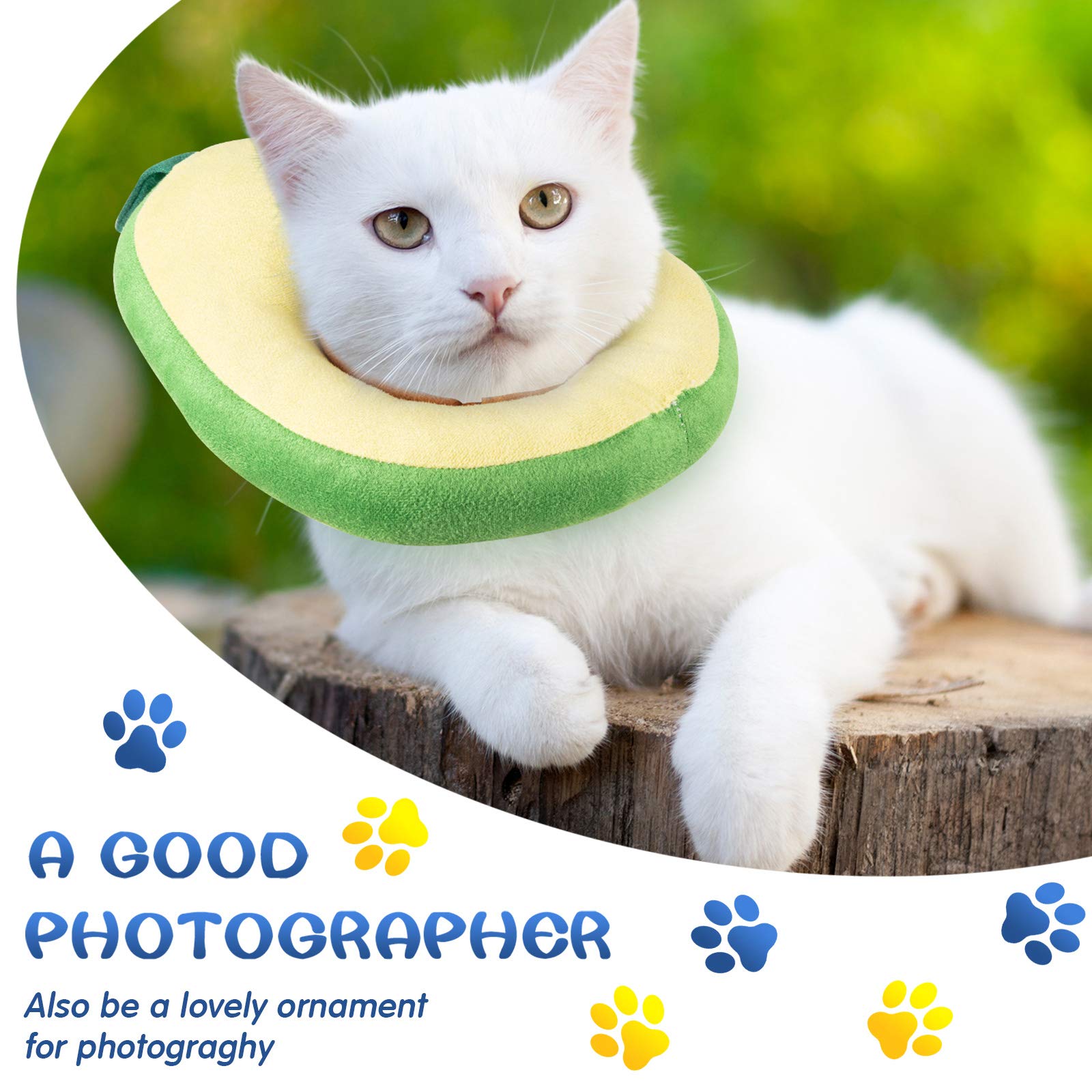 Weewooday collier-cone chat Elizabeth avant: usage polyvalent lors des soins et du toilettage