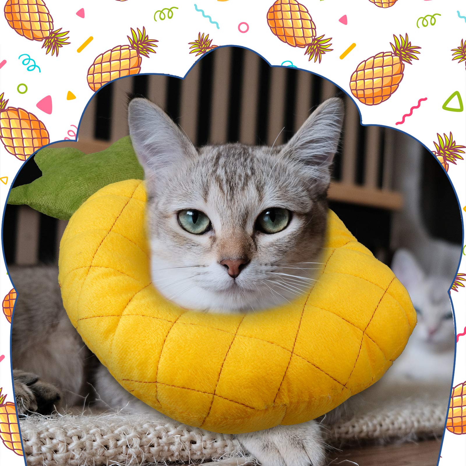 Weewooday collier-cone chat Elizabeth dos: design ergonomique pour un port agréable