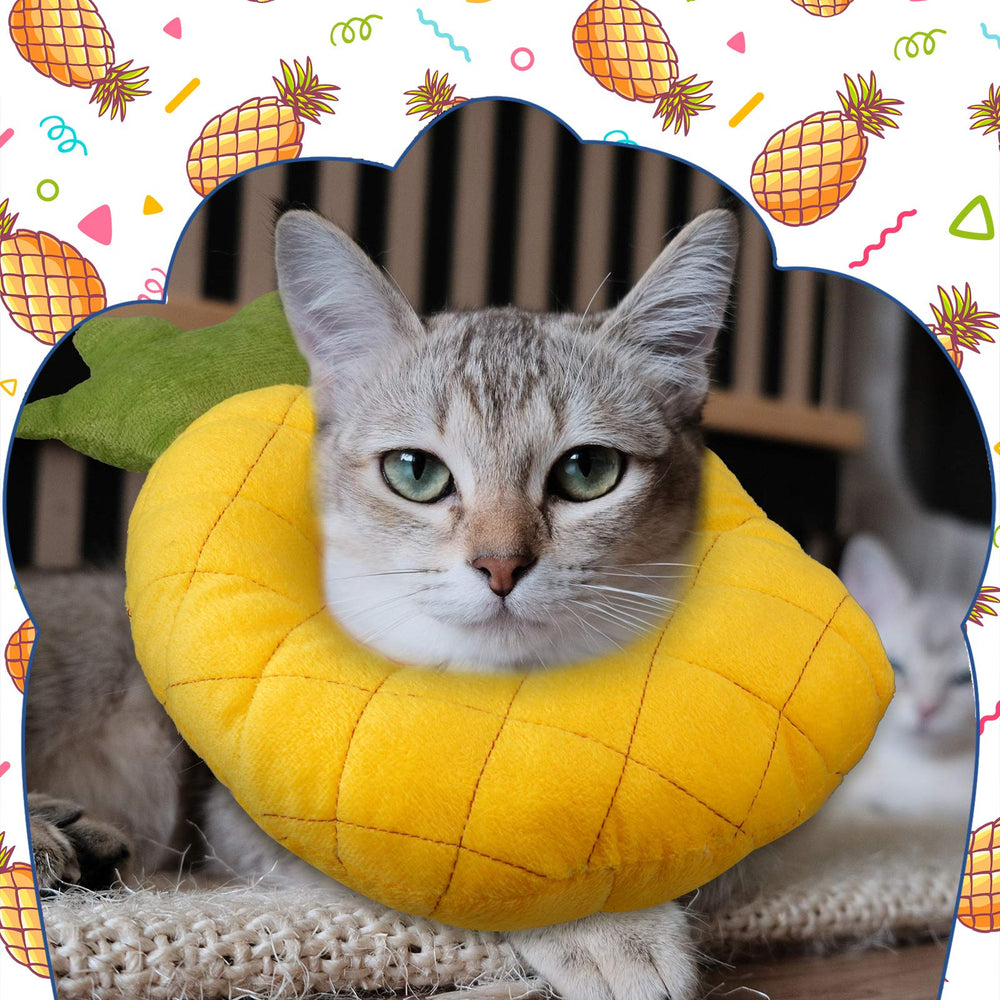 Weewooday collier-cone chat Elizabeth dos: design ergonomique pour un port agréable
