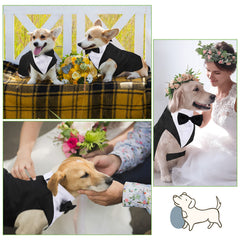 Weewooday Costume tuxedo chien – parfait pour un mariage