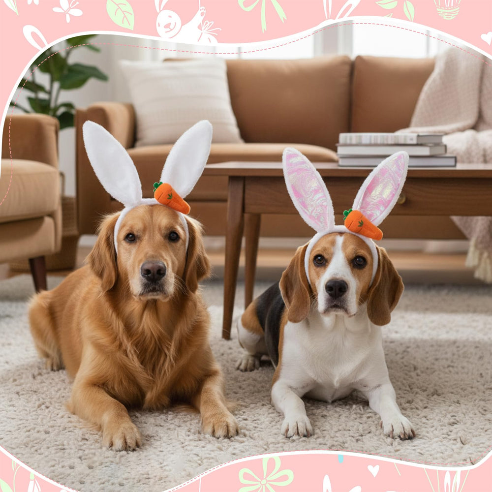 Weewooday déguisement Pâques, kit complet pour chien ou chat.