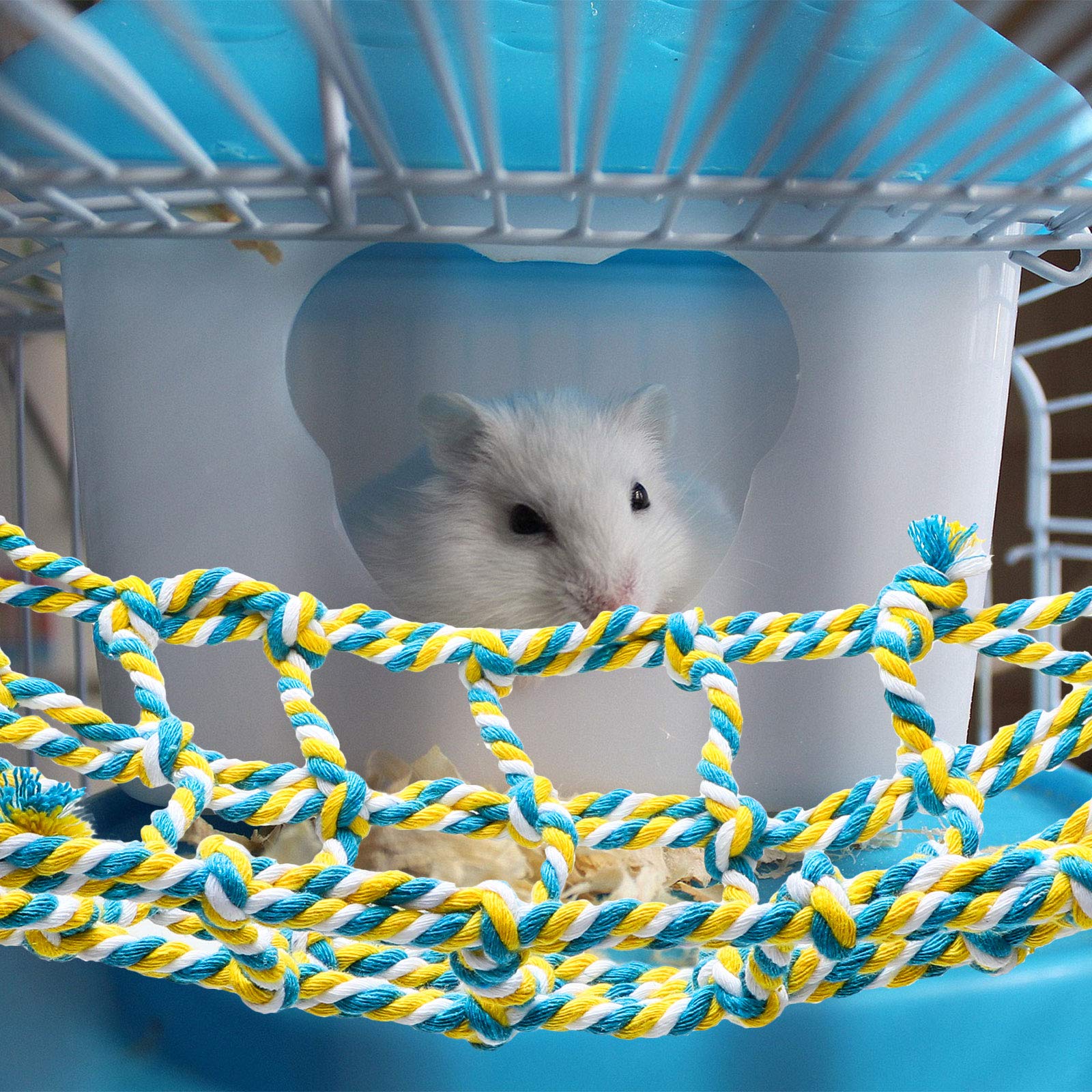 Weewooday ensemble de jeux pour hamsters et oiseaux en cage.