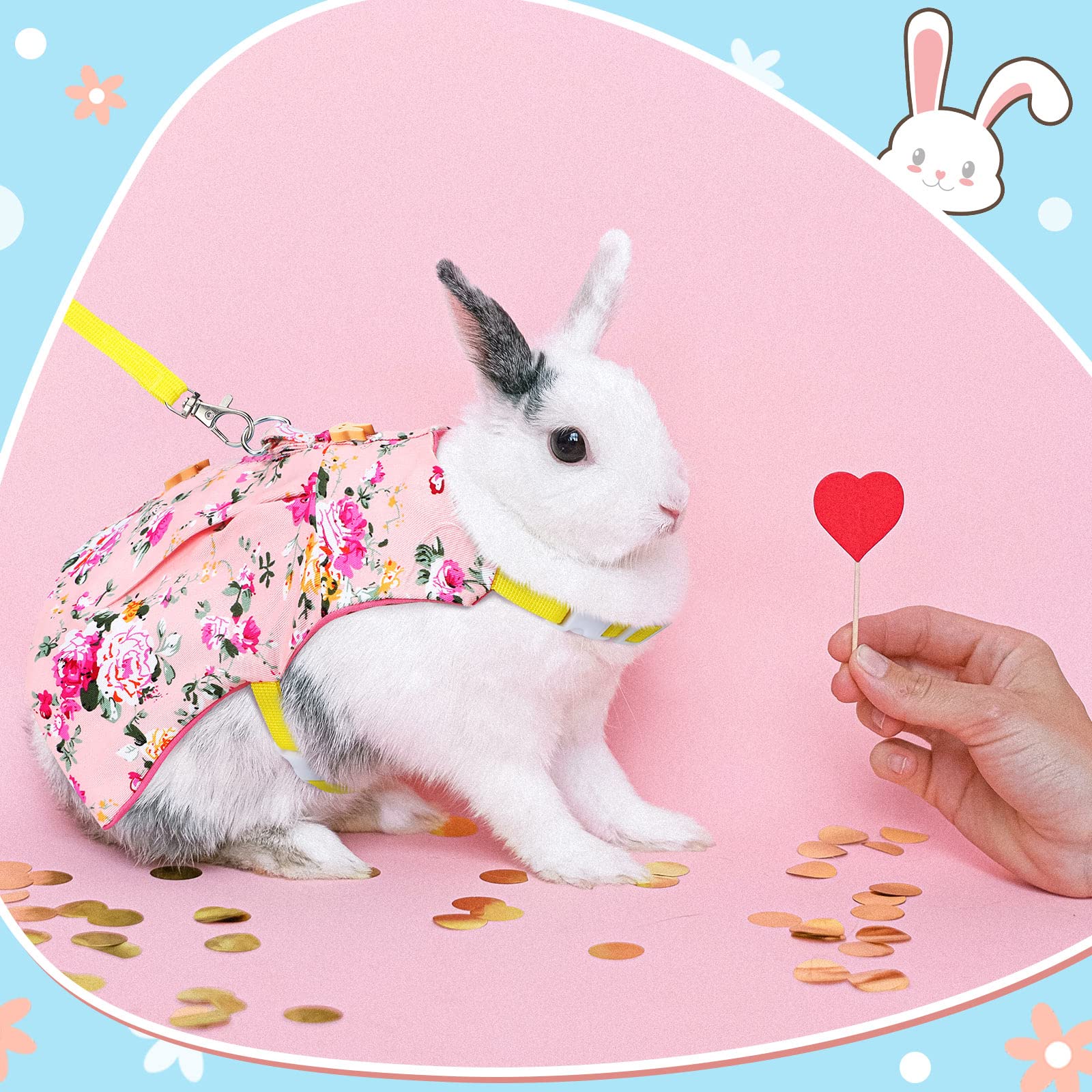 Weewooday harnais ajustable pour petits animaux, pratique et confortable