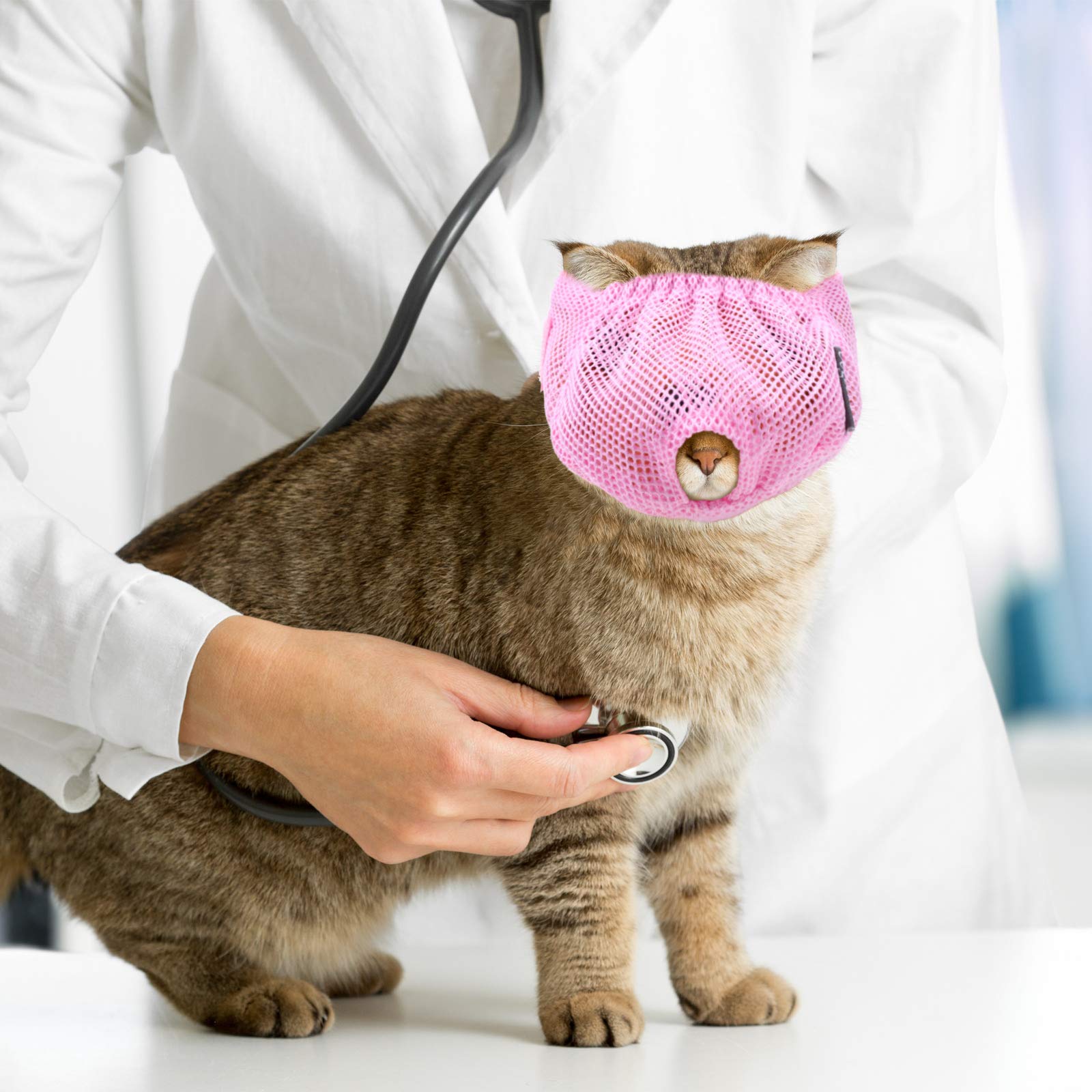 Weewooday ensemble de 3 museaux pour chats pratique