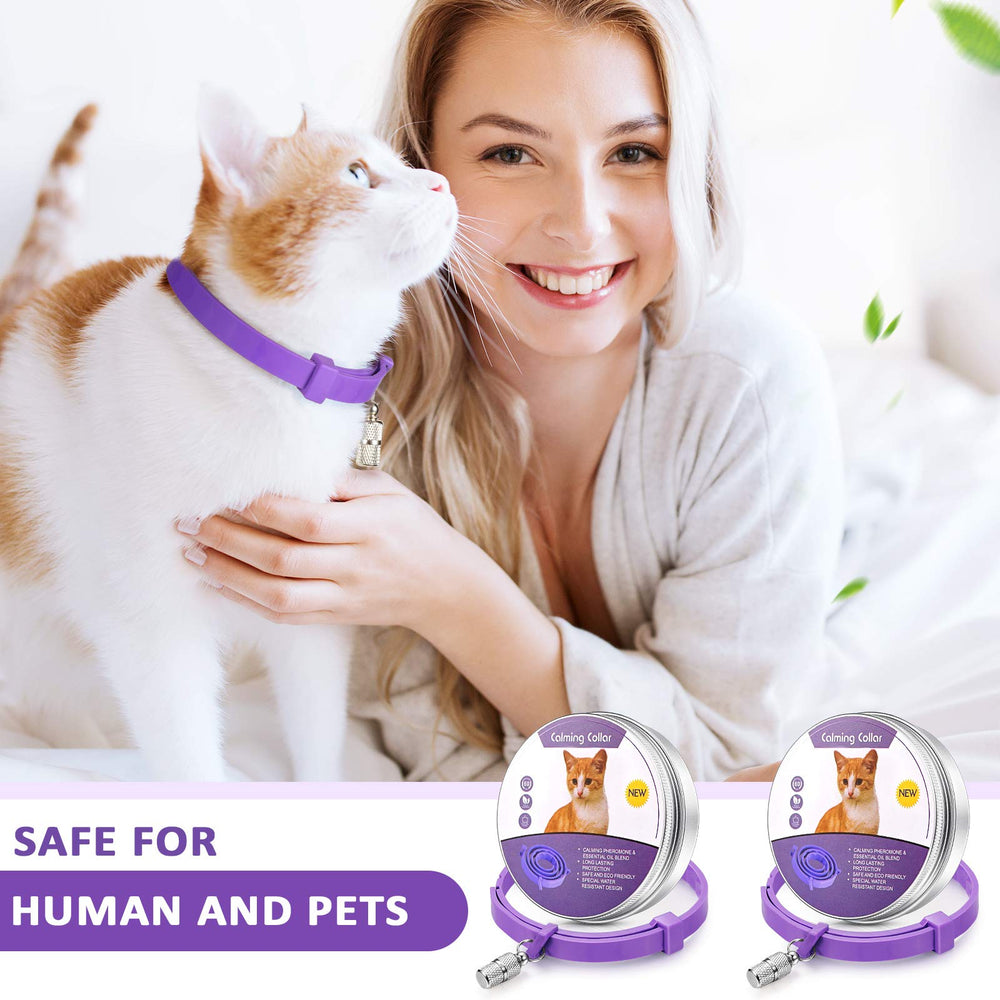 Pendentifs d'identification Weewooday pour chat, 5 pièces faciles à attacher et à utiliser