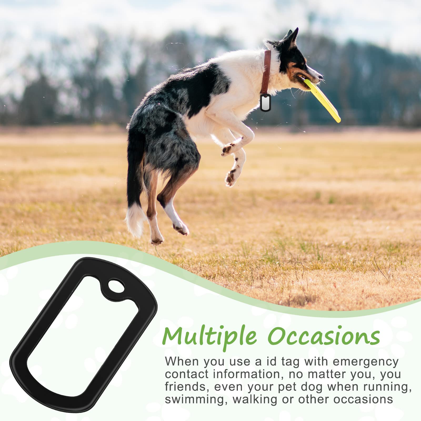 Weewooday réduction du bruit identifiant chien, solution légère et durable.