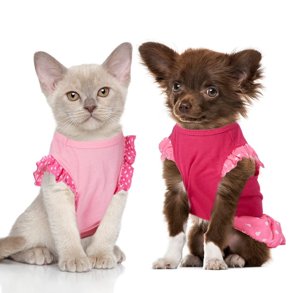 Weewooday robe légère pour chien ou chat, idéale pour photos et fêtes.