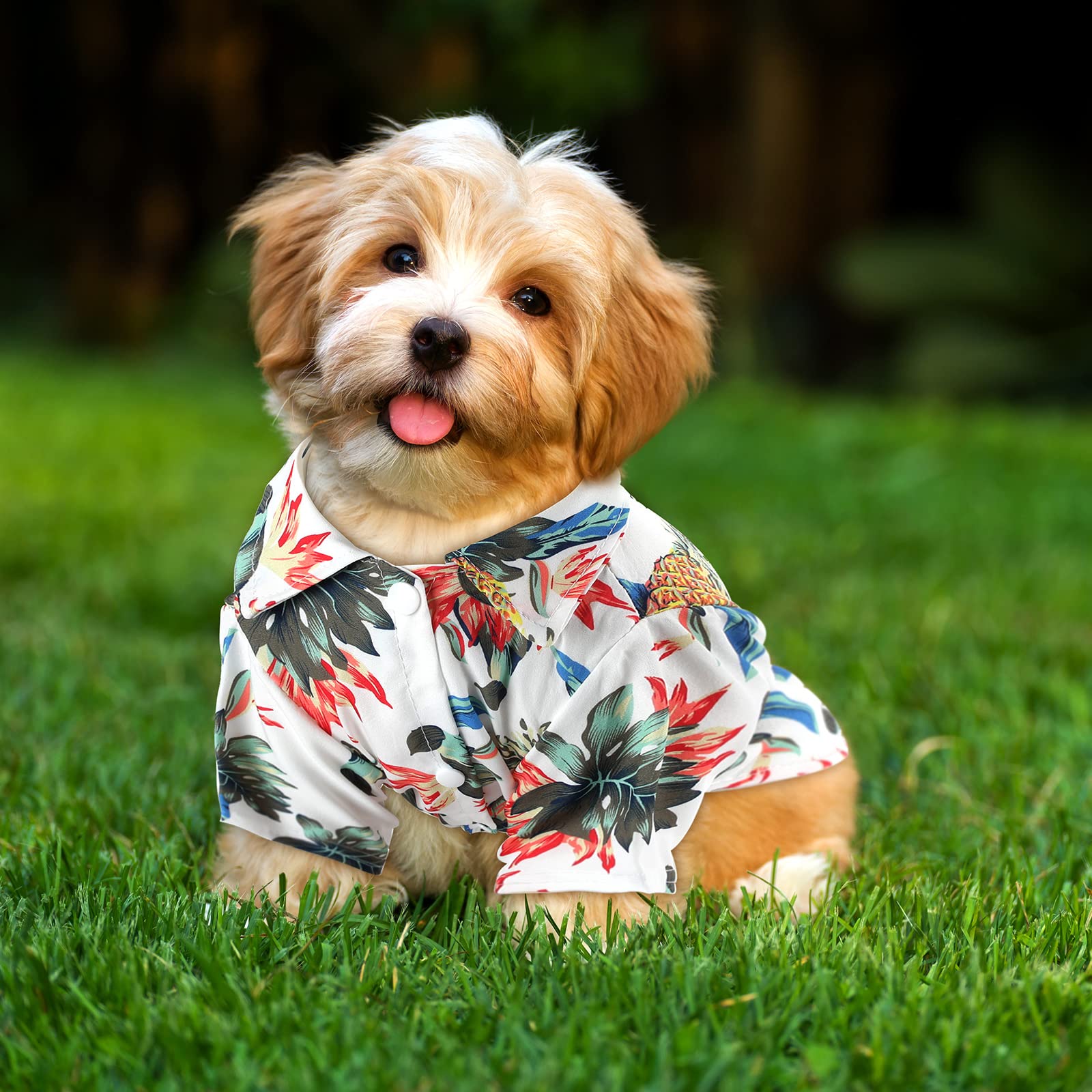 Weewooday t-shirt chien hawaïen confort estival pour sorties quotidiennes.