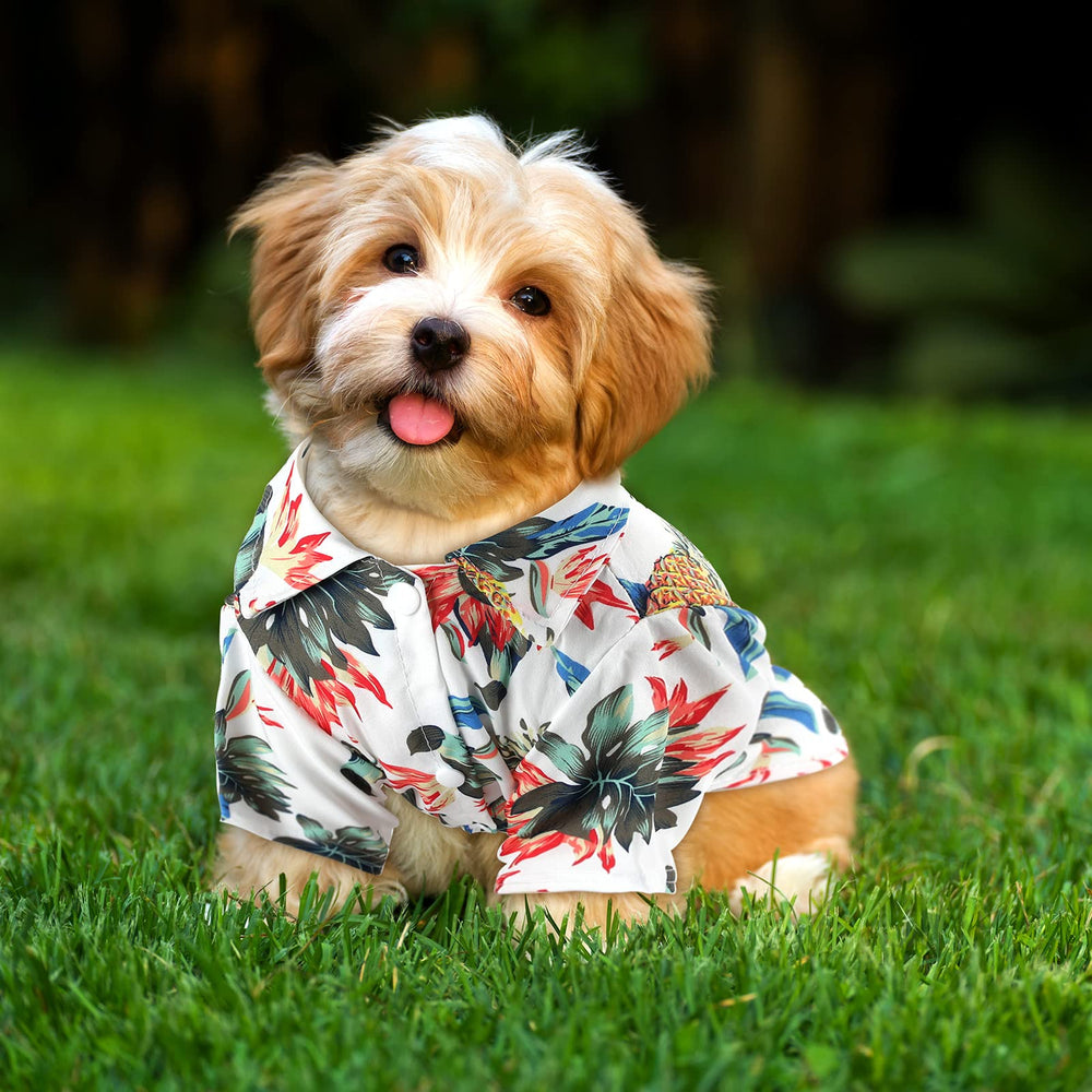 Weewooday t-shirt chien hawaïen confort estival pour sorties quotidiennes.