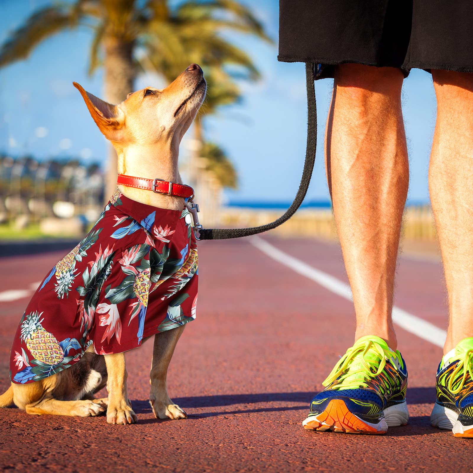 Weewooday t-shirt chien hawaïen avec fermeture boutons pratique.