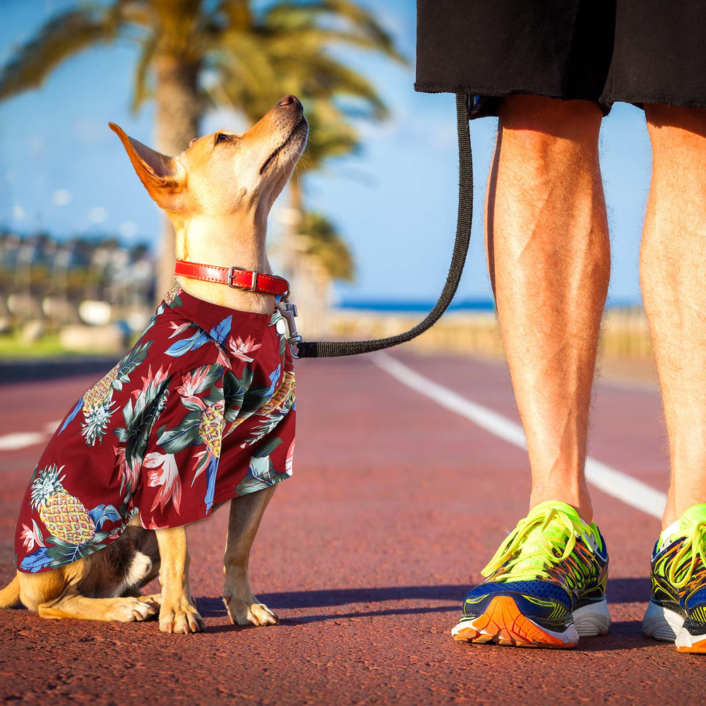 Weewooday t-shirt chien hawaïen avec fermeture boutons pratique.