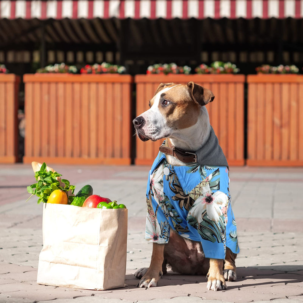 Weewooday t-shirt chien hawaïen motif tropical, silhouette légère.