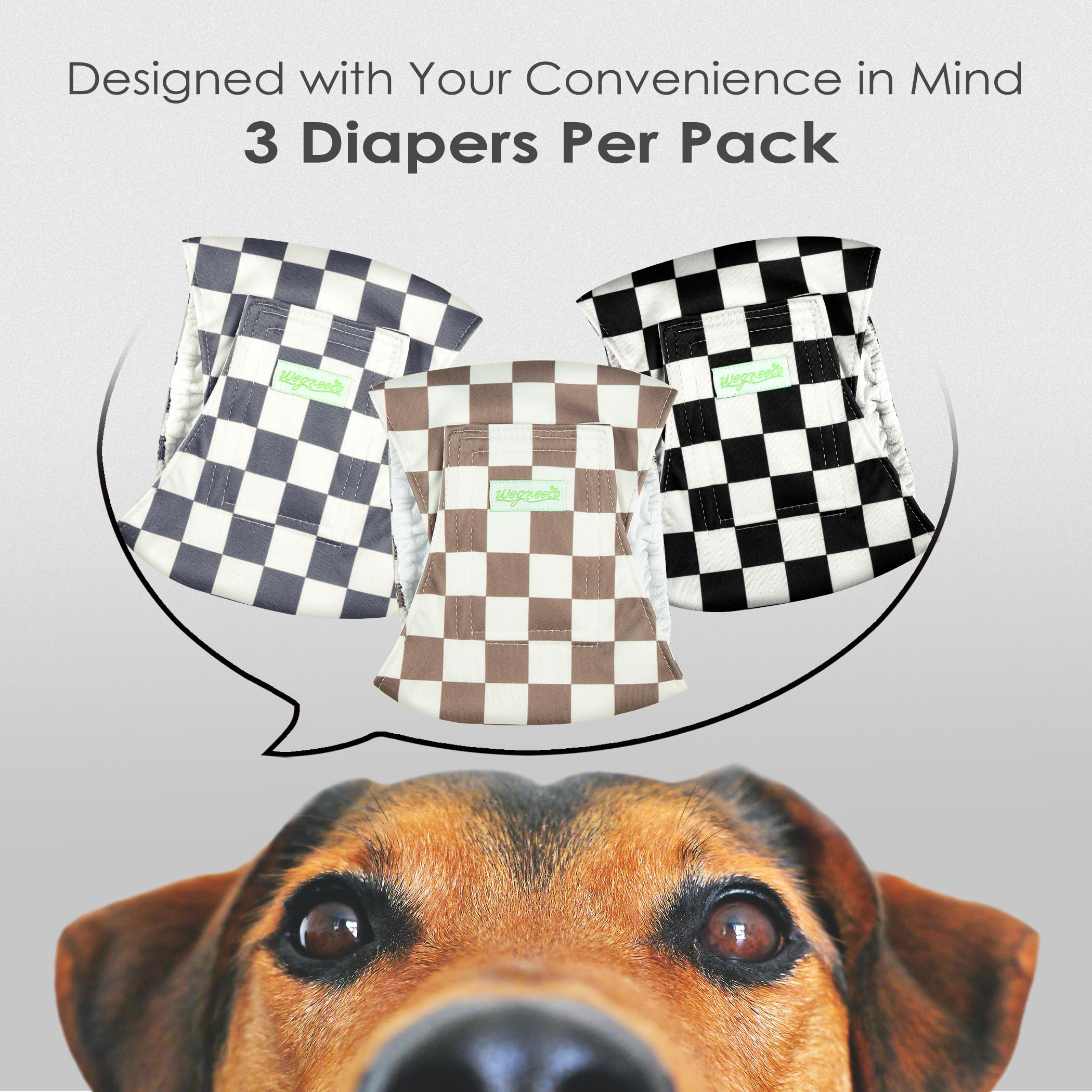 Wegreeco bandage ventral chien fermeture reglable: ajustement simple et securite.