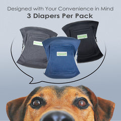 Wegreeco bande ventrale chien charbon, absorption intégrée et propreté durable.