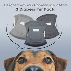Wegreeco bandeau ventre chien motif chic 2, réutilisable et économique au quotidien.