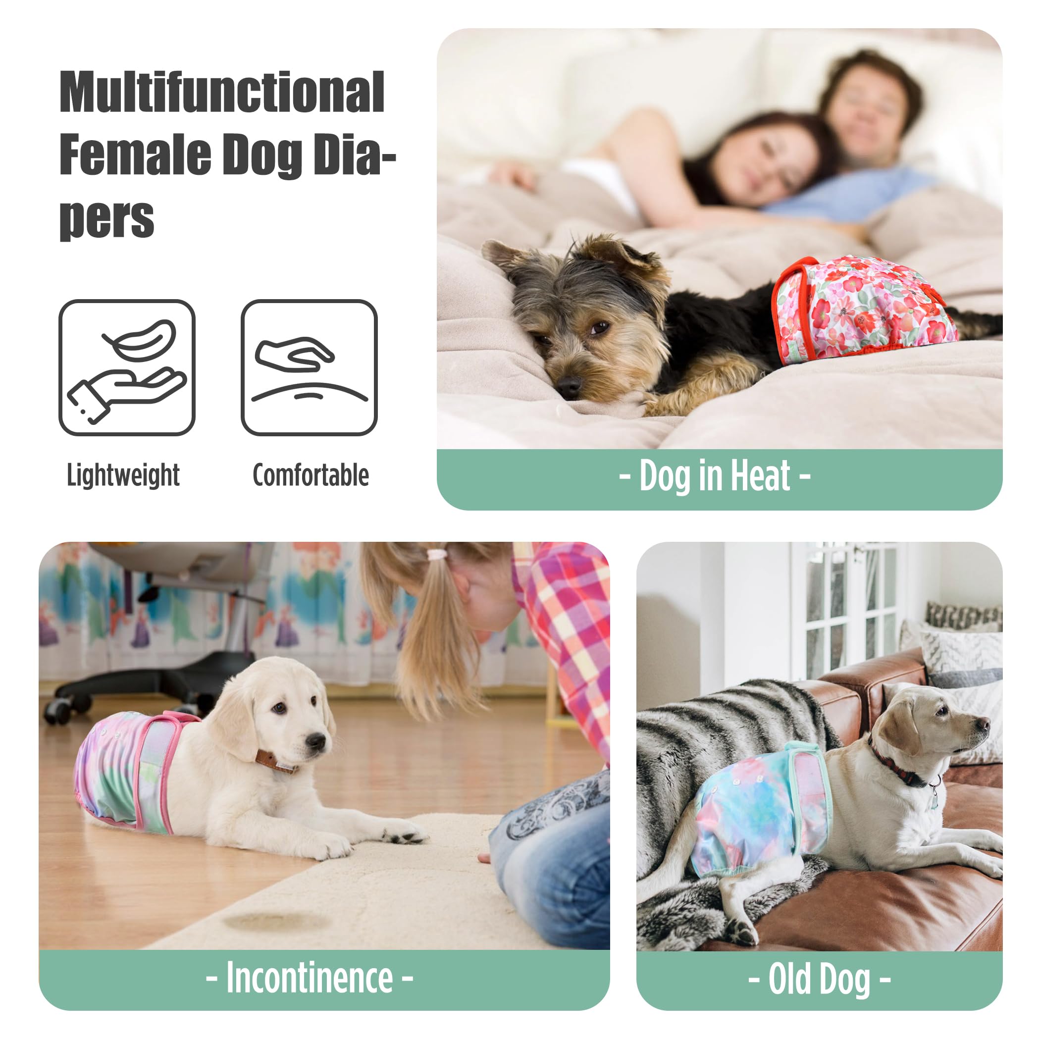 Wegreeco couches chien femelle tailles compatibles facilite le bon choix.