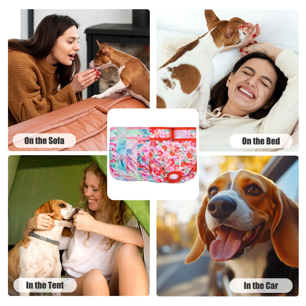 Wegreeco couches chien femelle douceur matière pour mouvement libre et repos.