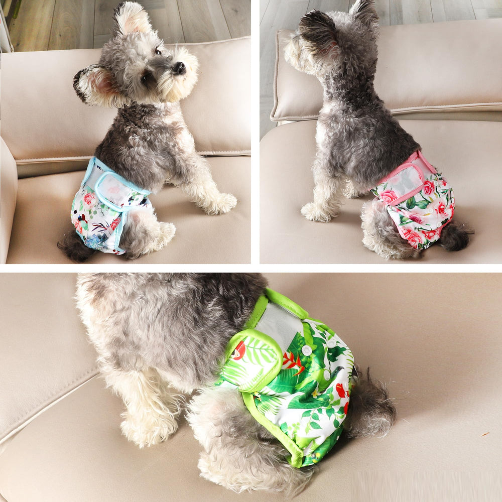 Wegreeco couches-pour-chien lavables – nettoyage facile et réutilisables.