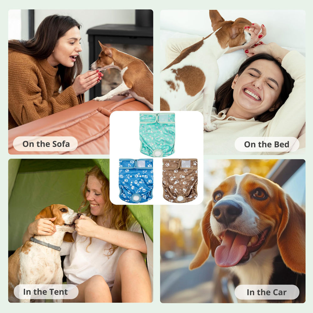Wegreeco couches lavables pour chienne femelle: pack triple pour varier les looks