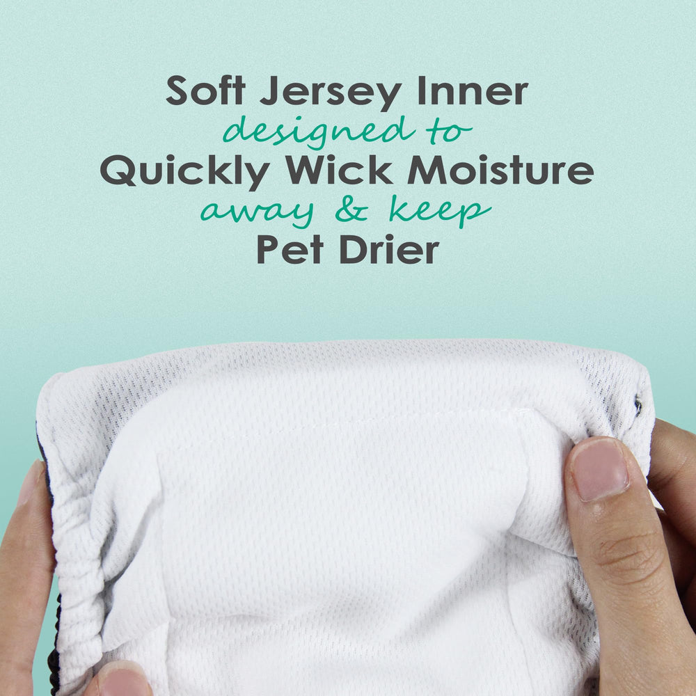 Guide des tailles Wegreeco, ajustement optimal pour chien mâle.