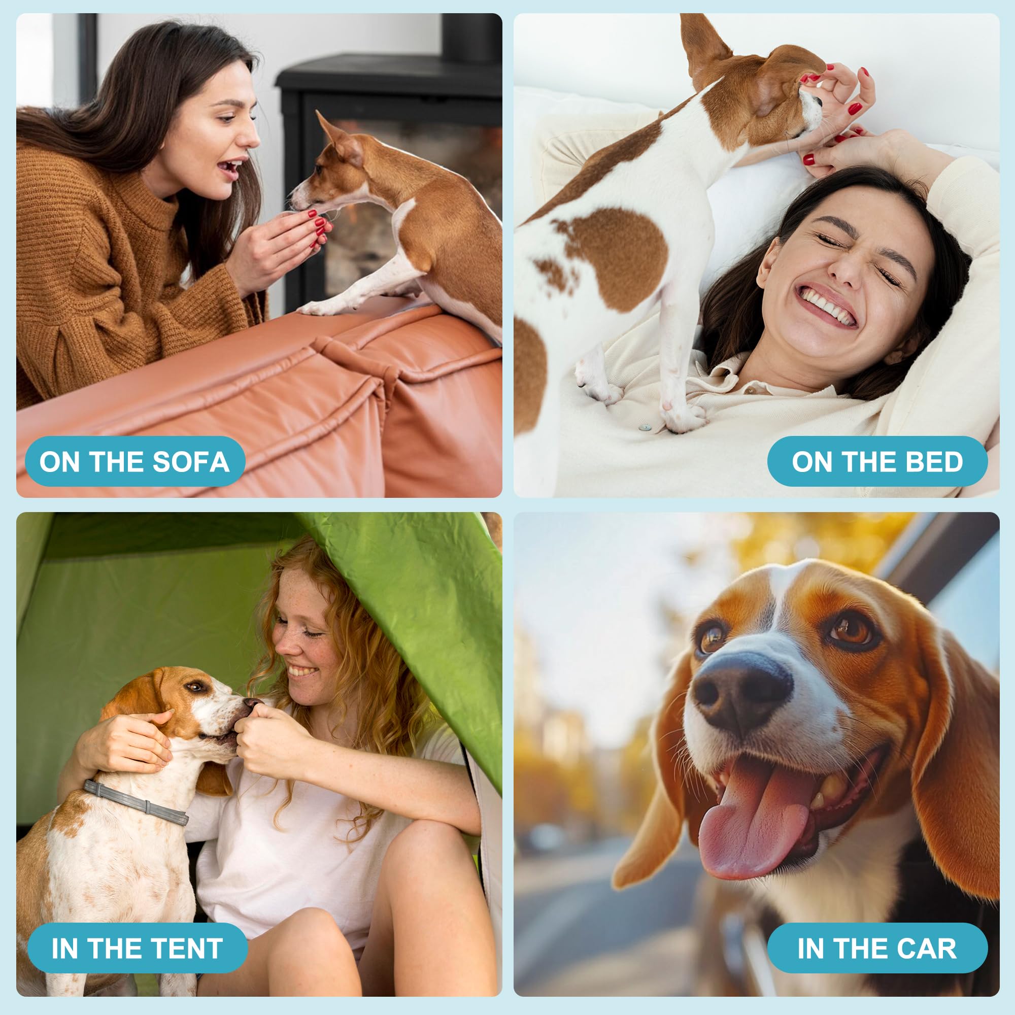 Protégez votre intérieur avec Wegreeco, bandes absorbantes lavables pour chien mâle.