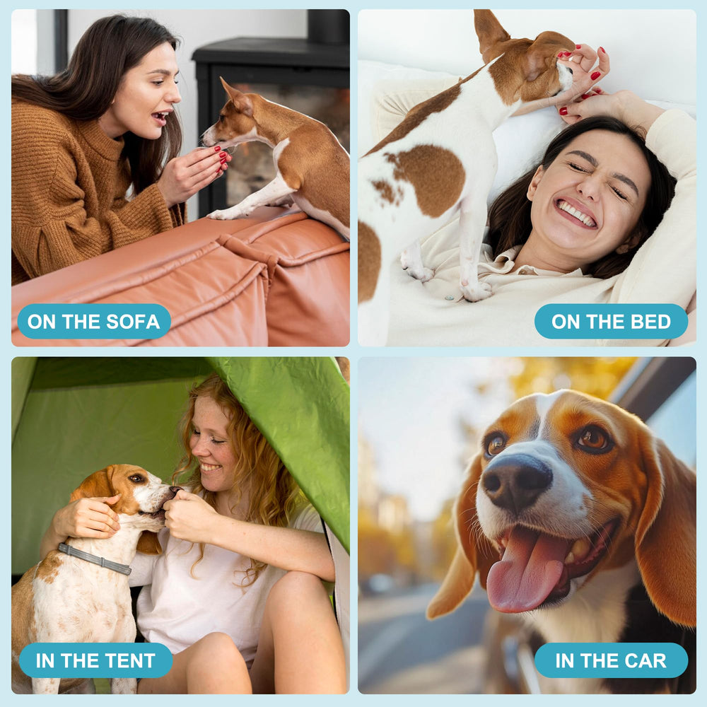 Protégez votre intérieur avec Wegreeco, bandes absorbantes lavables pour chien mâle.
