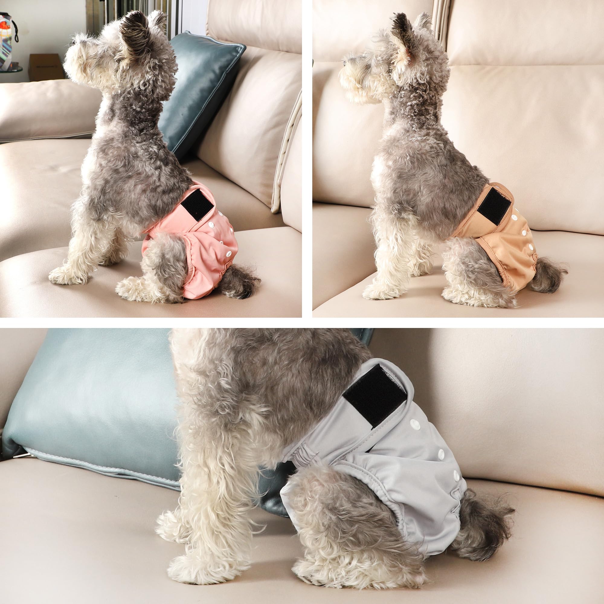 Protection anti-fuite pour tapis et meubles grâce à Wegreeco