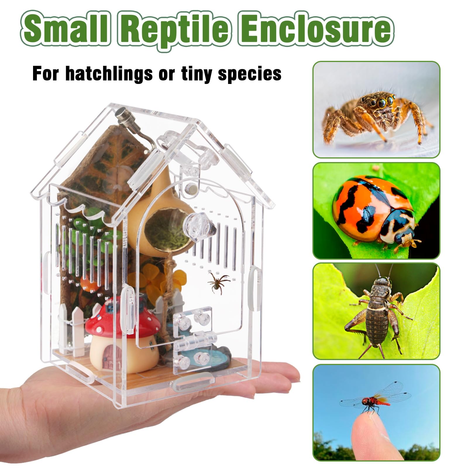 WEIKEJINA habitat petit animal polyvalent convient aux petits insectes et reptiles.