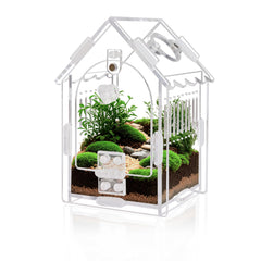 WEIKEJINA terrarium araignée sauteuse 3-15x3-15x5-6 pour habitat sûr et arboricole.