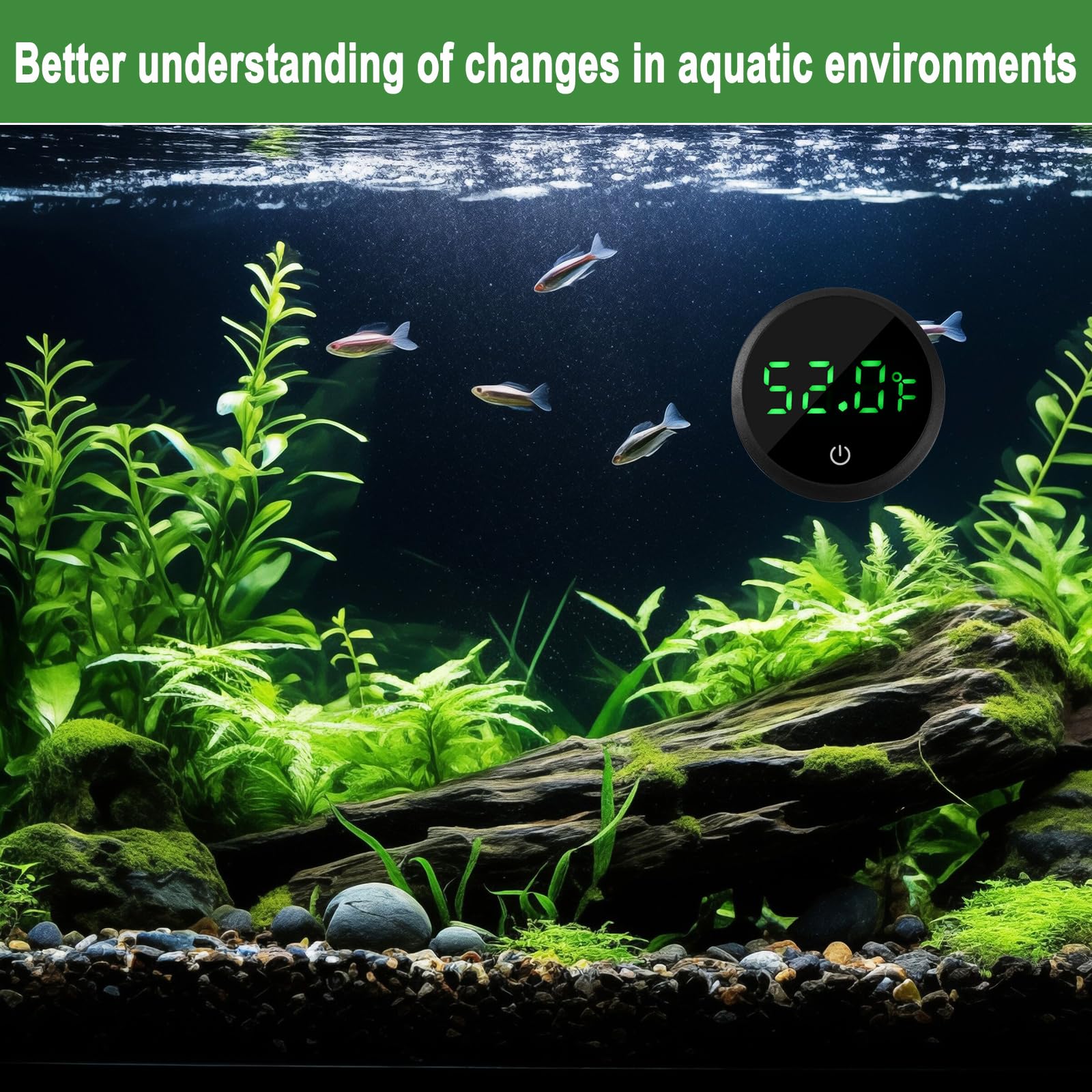 WEIMELTOY thermomètre d'aquarium affichage clair jour et nuit