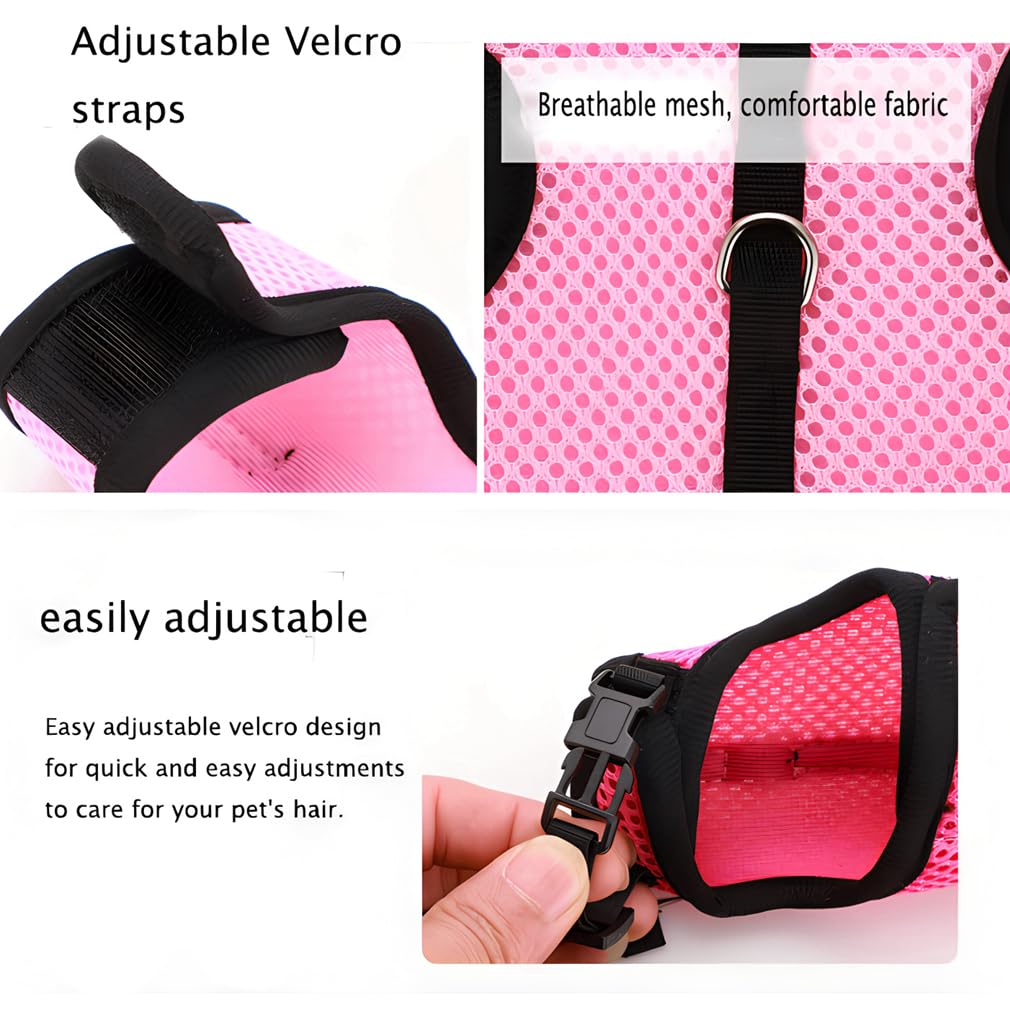 WeimoMonkey anneau arrière, sécurité renforcée pour les promenades.