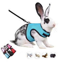 WeimoMonkey harnais-laisse pour lapin bleu, confort et sécurité lors des sorties.