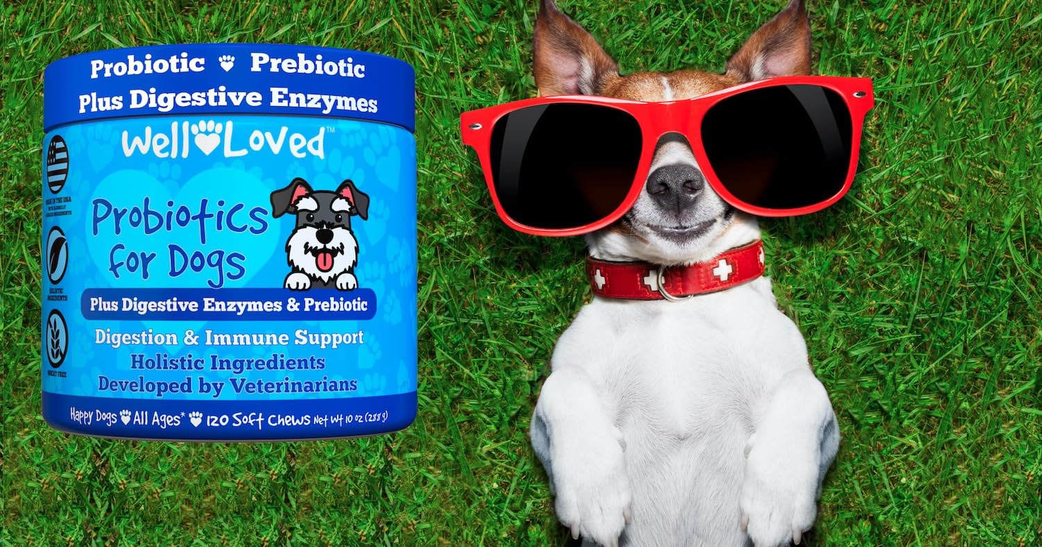 Well Loved Probiotiques pour Chiens — support digestif et confort après repas.