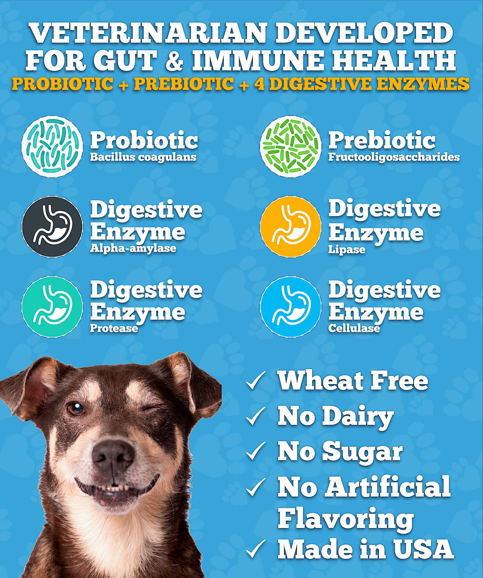 Well Loved Probiotiques pour Chiens — étiquette indiquant prébiotiques et enzymes digestives.