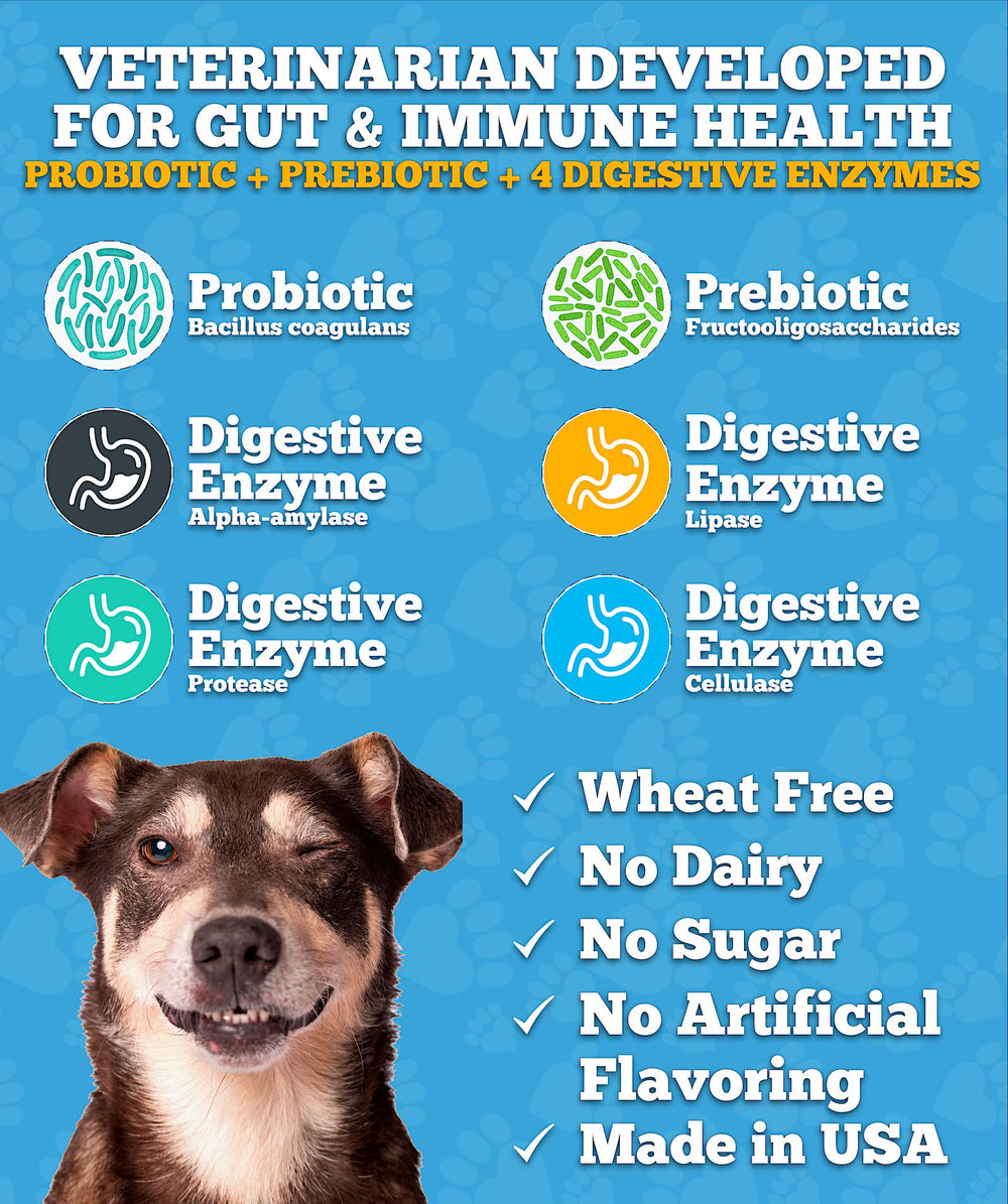 Well Loved Probiotiques pour Chiens — étiquette indiquant prébiotiques et enzymes digestives.