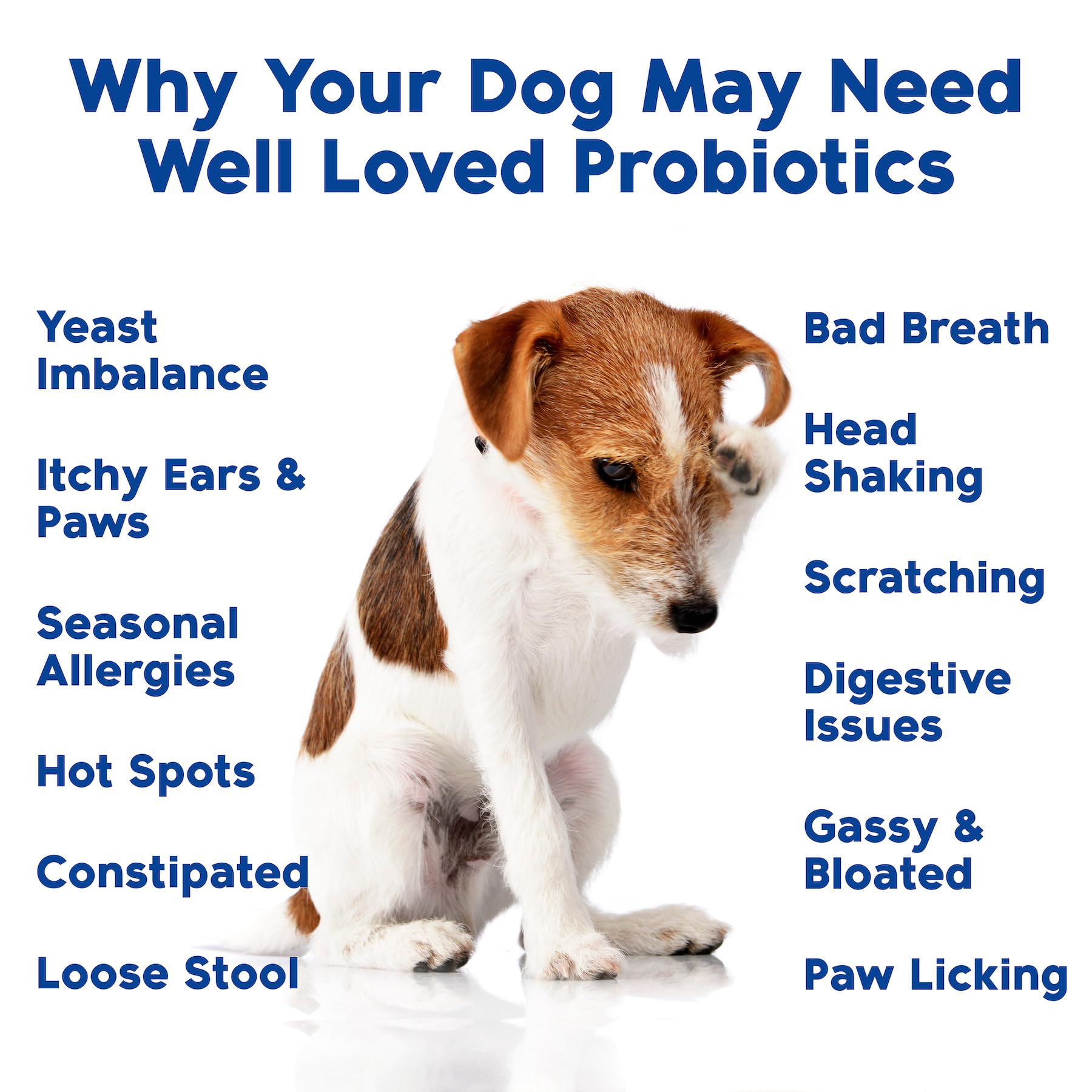 Well Loved Probiotiques pour Chiens — ingrédients naturels sans céréales ni lactose.