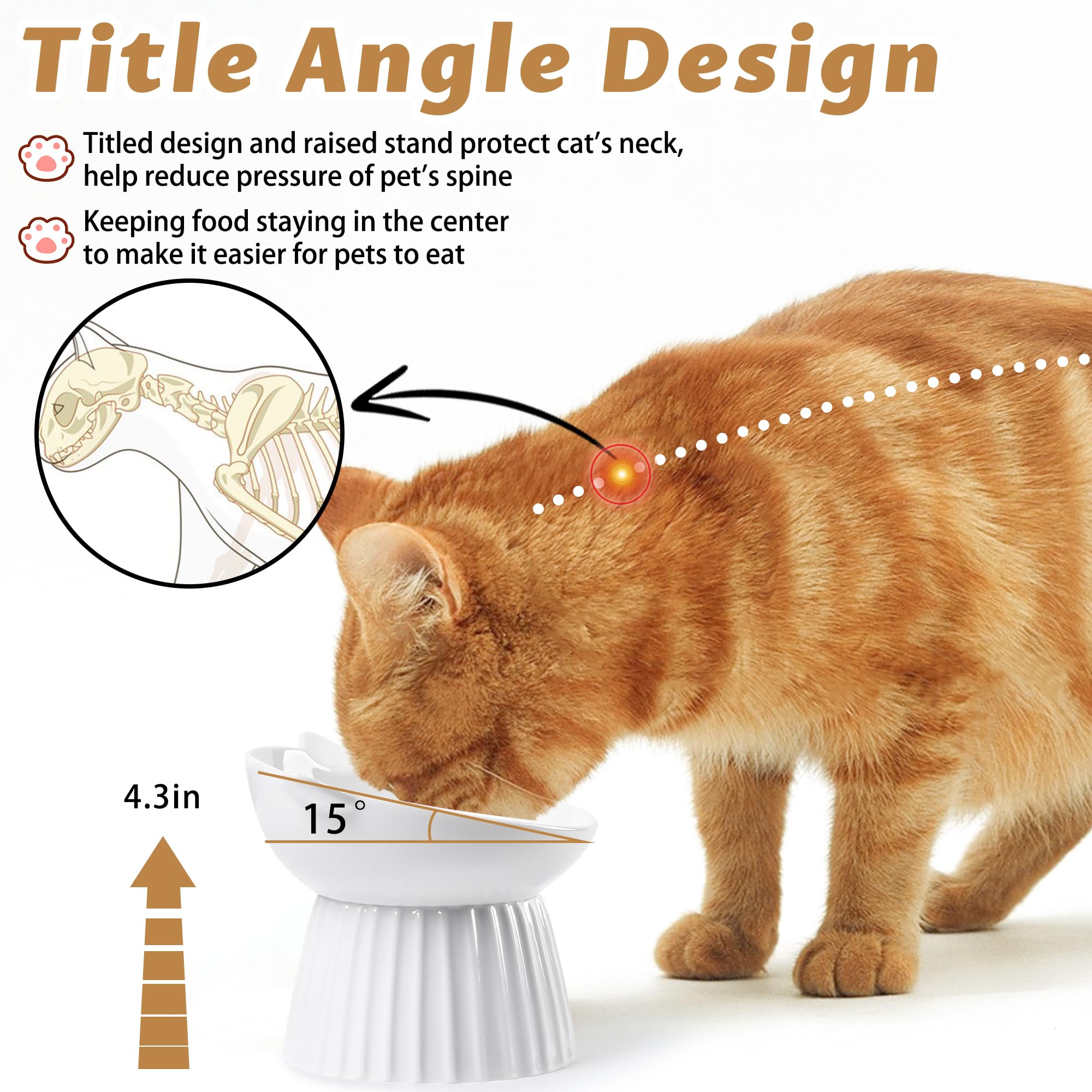 Wellbro assiette ergonomique élevée, réduction de la tension du cou pendant les repas.