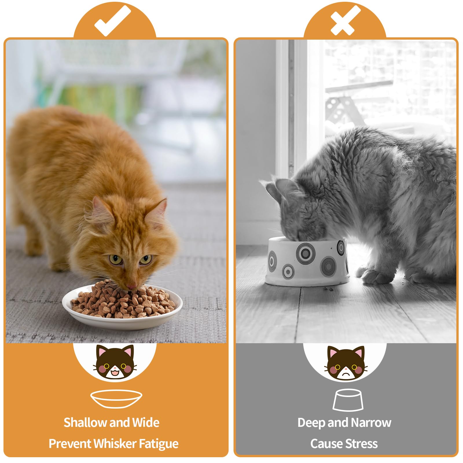 Assiettes-chat en céramique Wellbro durables, adaptées à un usage quotidien.