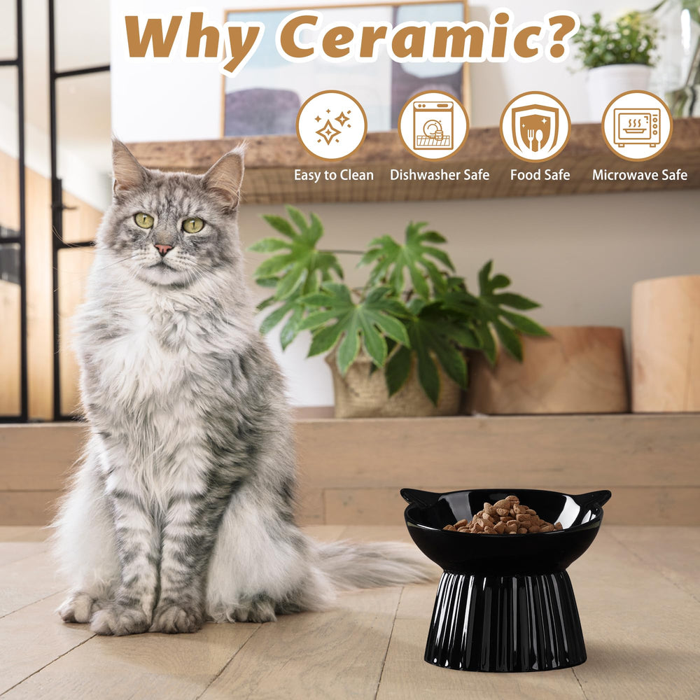 Wellbro bol chat incline-15deg illustre l'inclinaison pour mieux manger.