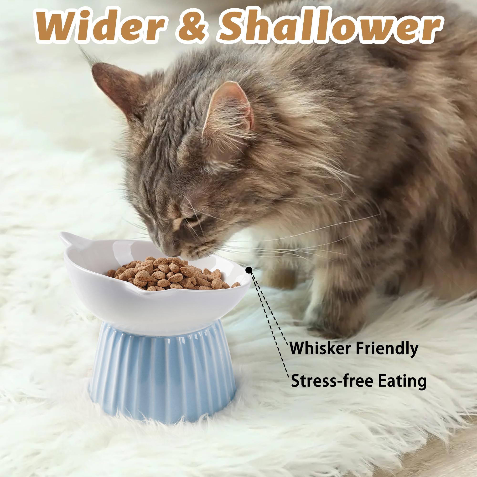 Wellbro bol chat large et peu profond – évite les moustaches qui touchent les bords.