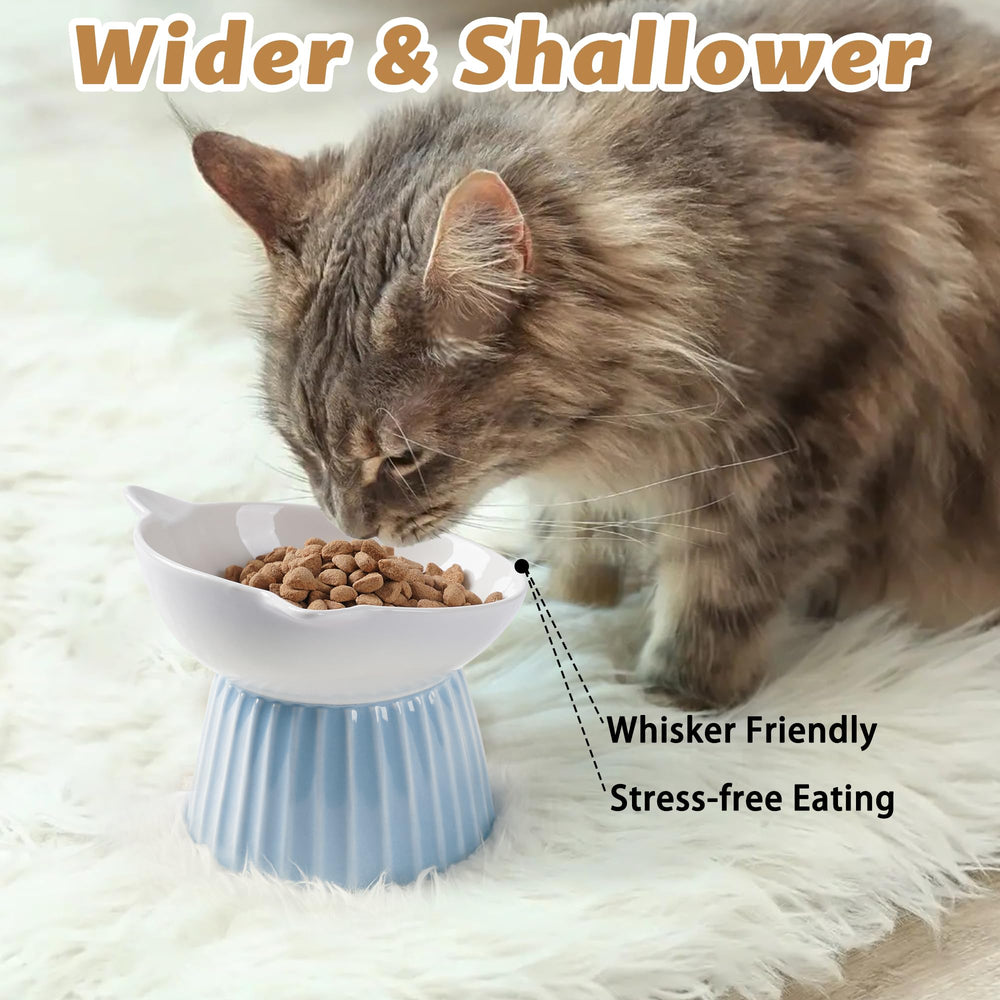 Wellbro bol chat large et peu profond – évite les moustaches qui touchent les bords.