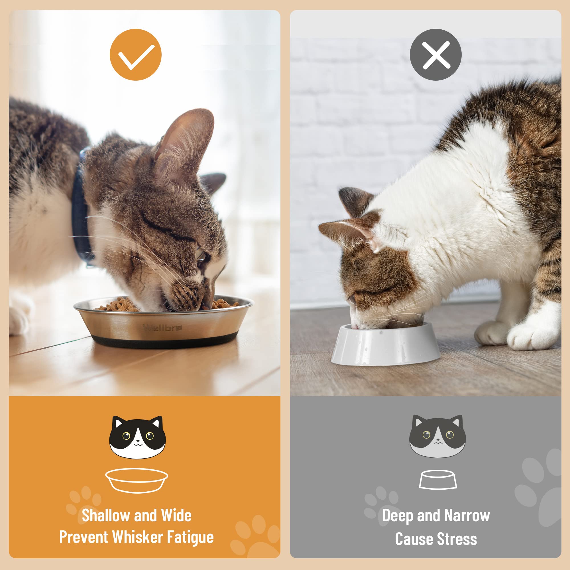 Wellbro bol-chat-inox, confortable pour les moustaches et facile à nettoyer.